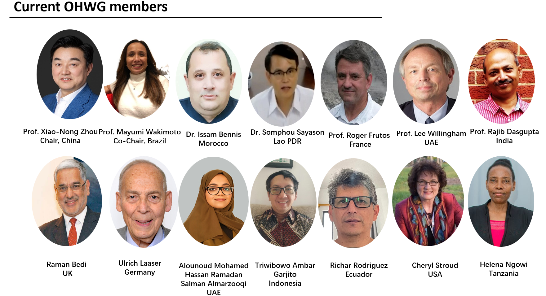 Current OHWG Members